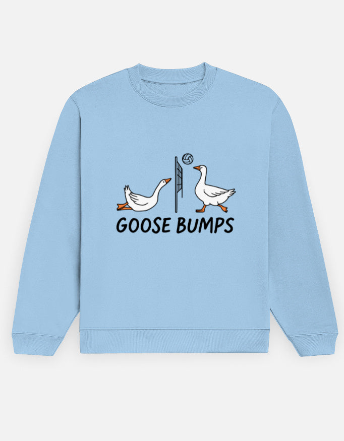 Goose Bumps – Sweatshirt – Noir & Lin India Baby Blue