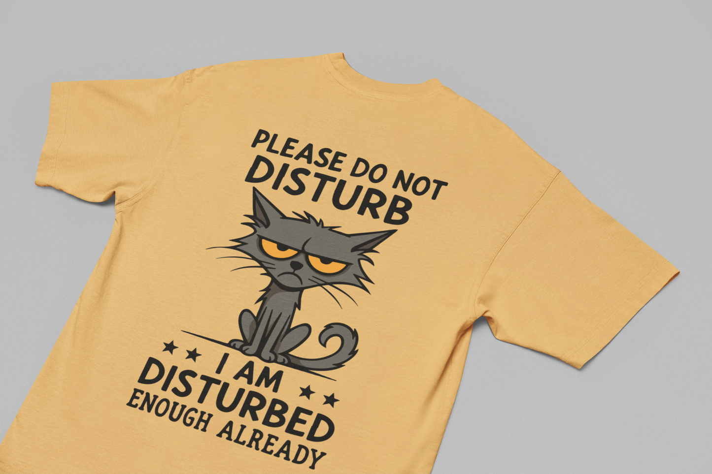 Do Not Disturb Oversized T-Shirt
